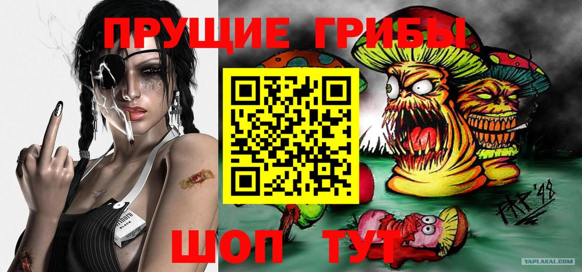Галлюциногенные грибы MAGIC MUSHROOMS Тайшет